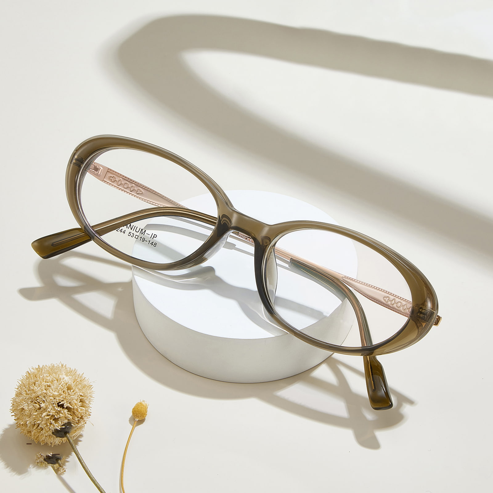 Lunettes ovales en titane β résistantes à la corrosion à bords larges M8244
