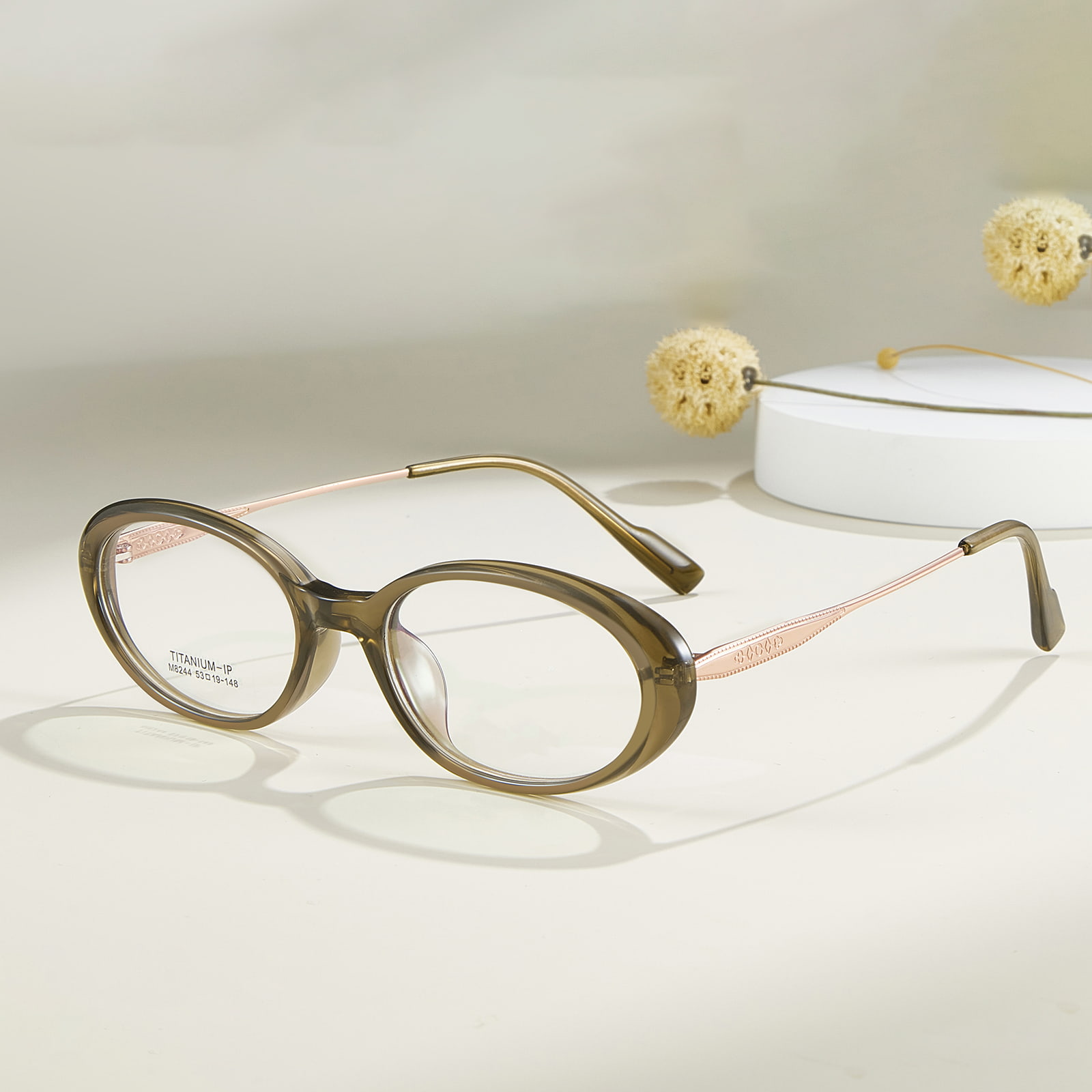 Lunettes ovales en titane β résistantes à la corrosion à bords larges M8244